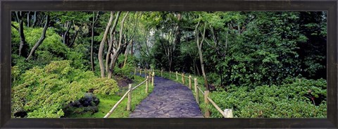 Framed Tea Garden Walkway, San Francisco Botanical Gardens Print