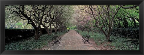 Framed Through Conservatory Garden, Central Park, NYC Print