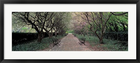 Framed Through Conservatory Garden, Central Park, NYC Print