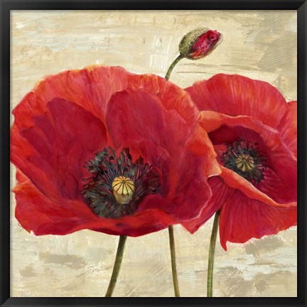 Framed Red Poppies (detail II) Print