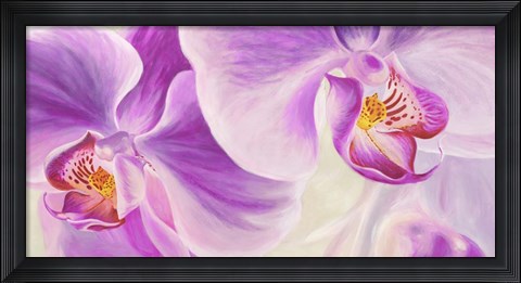 Framed Purple Orchids Print