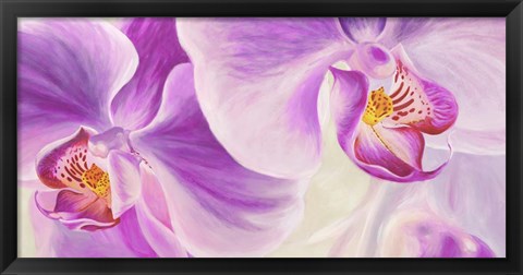 Framed Purple Orchids Print