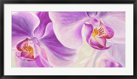 Framed Purple Orchids Print