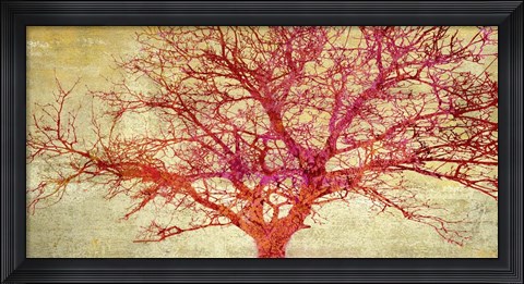 Framed Coral Tree Print