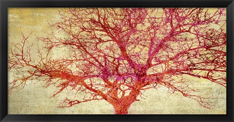 Framed Coral Tree Print