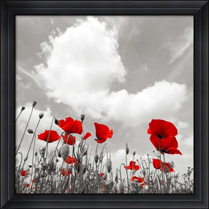 Framed Papaveri e Nuvole Print