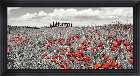 Framed Farm House with Cypresses and Poppies, Tuscany, Italy Print