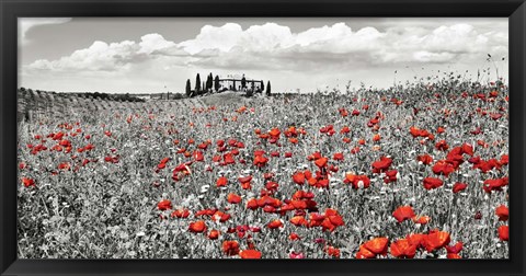 Framed Farm House with Cypresses and Poppies, Tuscany, Italy Print