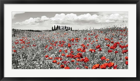 Framed Farm House with Cypresses and Poppies, Tuscany, Italy Print