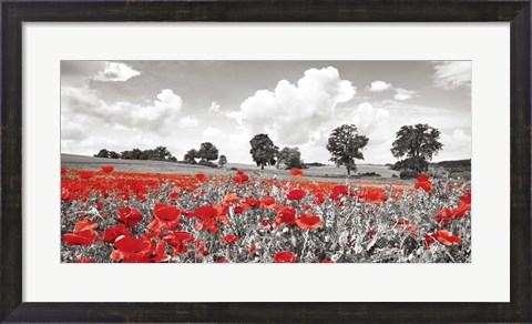 Framed Poppies and Vicias in Meadow, Mecklenburg Lake District, Germany Print