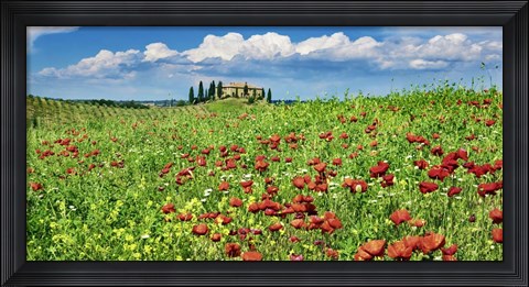 Framed Farm House with Cypresses and Poppies, Tuscany, Italy Print