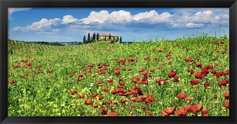 Framed Farm House with Cypresses and Poppies, Tuscany, Italy Print