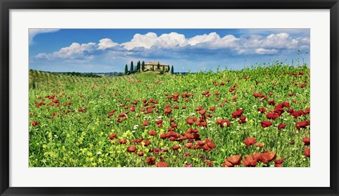 Framed Farm House with Cypresses and Poppies, Tuscany, Italy Print