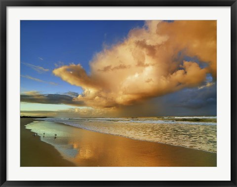 Framed Sunset On The Ocean, New South Wales, Australia Print