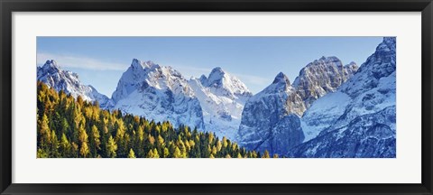 Framed Larch Forest And Cima Bel Pra, Italy Print