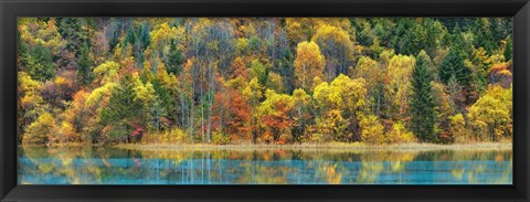 Framed Lake And Forest In Autumn, China Print