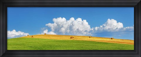 Framed Corn Field Harvested, Tuscany, Italy Print