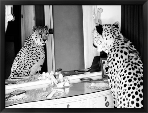 Framed Cheetah Looking in Mirror Print
