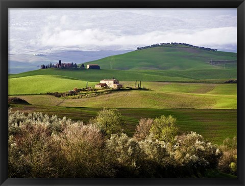 Framed Tuscan Countryside Print