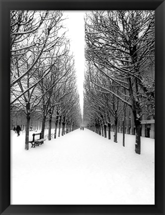 Framed Tuileries Garden under the Snow, Paris Print