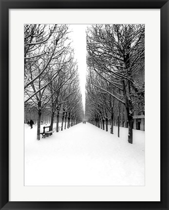 Framed Tuileries Garden under the Snow, Paris Print