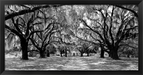 Framed Avenue of Oaks, South Carolina Print