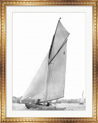 Framed Sailing in Sydney Harbour Print