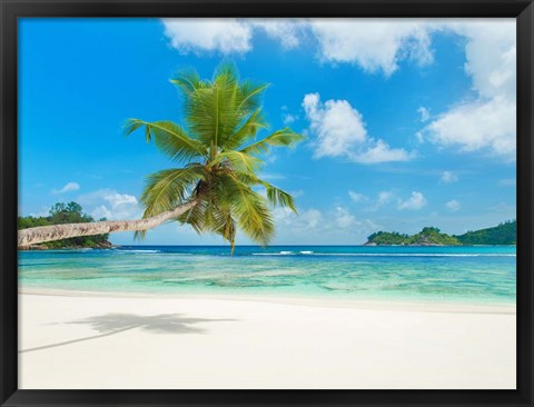 Framed Tropical beach, Seychelles (detail) Print