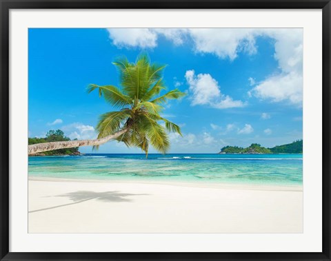 Framed Tropical beach, Seychelles (detail) Print