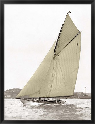 Framed Victorian Sloop on Sydney Harbour Print
