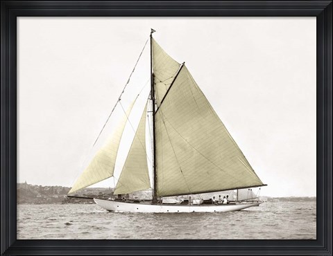 Framed Yacht on Sydney Harbour Print