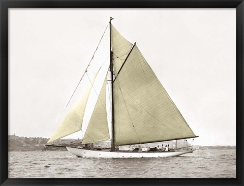 Framed Yacht on Sydney Harbour Print