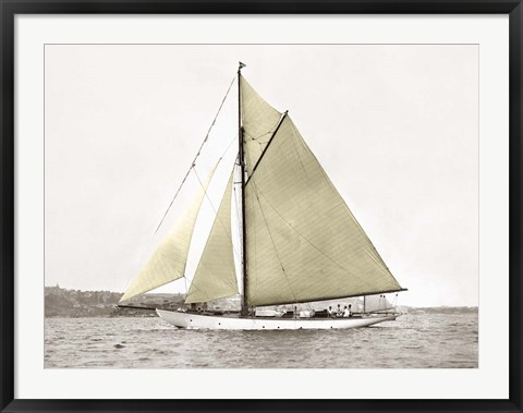 Framed Yacht on Sydney Harbour Print