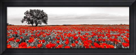 Framed Tree in a Poppy Field 2 Print