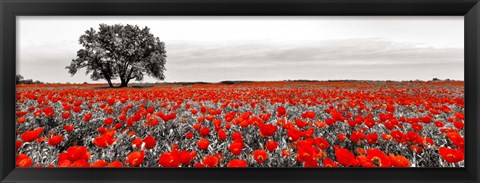 Framed Tree in a Poppy Field 2 Print