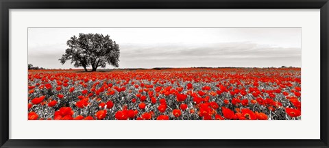 Framed Tree in a Poppy Field 2 Print