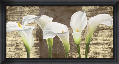 Framed Callas on Gold (mocca variation) Print