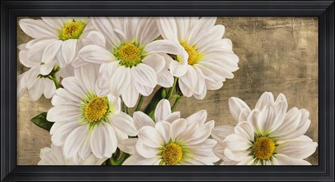 Framed Daisies in the Moonlight Print