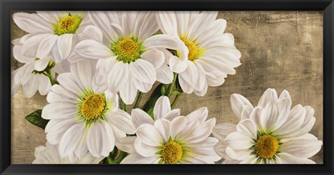 Framed Daisies in the Moonlight Print