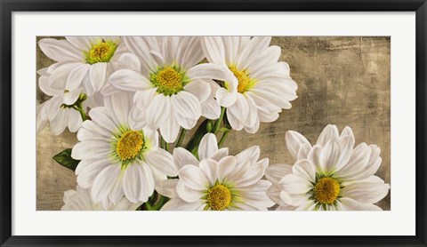 Framed Daisies in the Moonlight Print