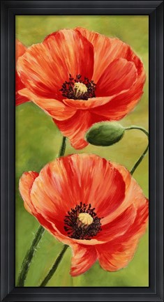 Framed Poppies in the Wind II Print
