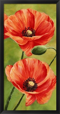 Framed Poppies in the Wind II Print