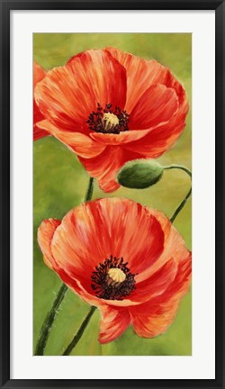 Framed Poppies in the Wind II Print