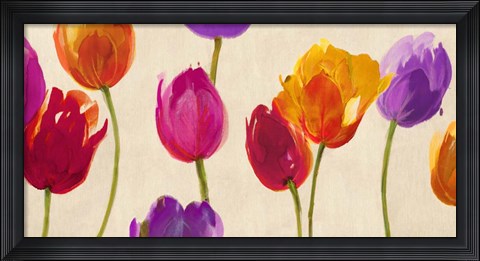 Framed Tulips &amp; Colors Print