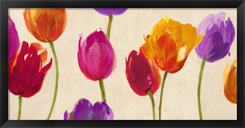 Framed Tulips &amp; Colors Print