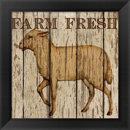 Framed Farm Fresh Lamb Print