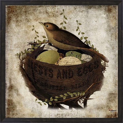 Framed Nest &amp; Eggs Print