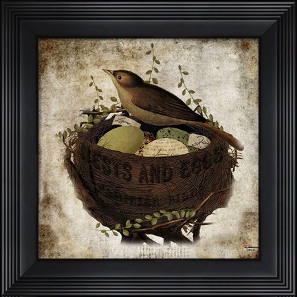Framed Nest &amp; Eggs Print