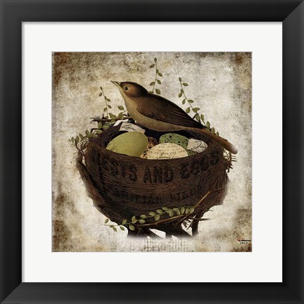 Framed Nest &amp; Eggs Print