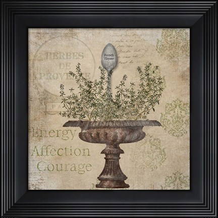 Framed French Thyme Print